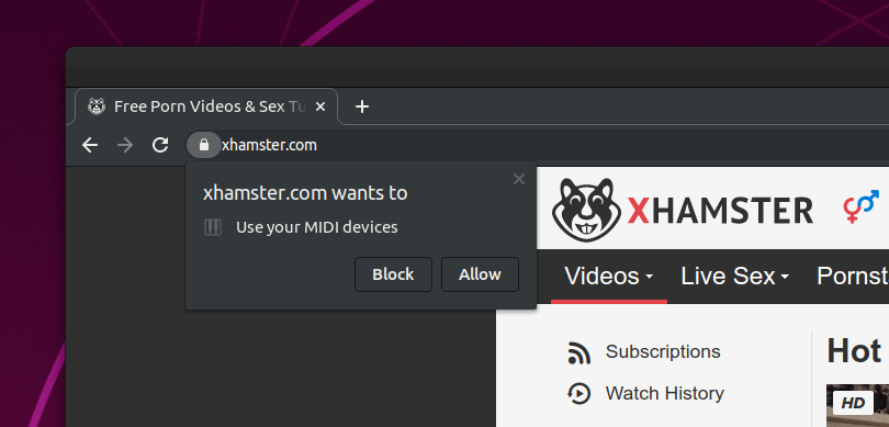 xhamster.com wants to use your MIDI devices